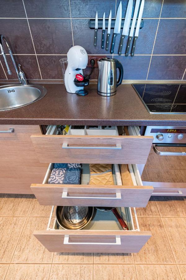 Panoramic City Centre Apartment By Polo Apartments カウナス エクステリア 写真